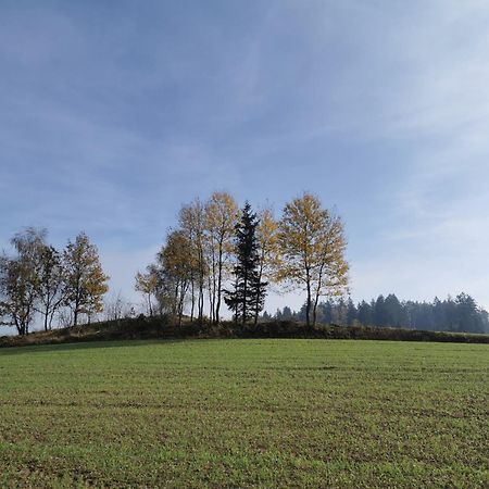 Kindererlebnis- Und Biobauernhof Hipp-Bruckner Wornharts Екстер'єр фото