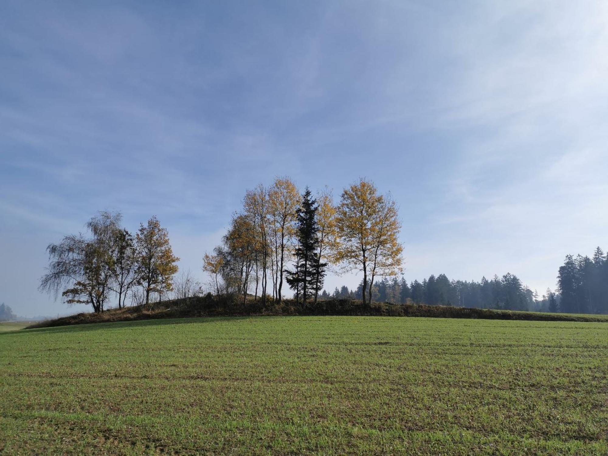 Kindererlebnis- Und Biobauernhof Hipp-Bruckner Wornharts Екстер'єр фото